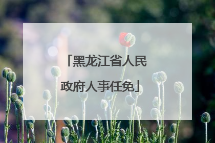 黑龙江省人民政府人事任免