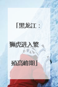 黑龙江：狮虎进入繁殖高峰期