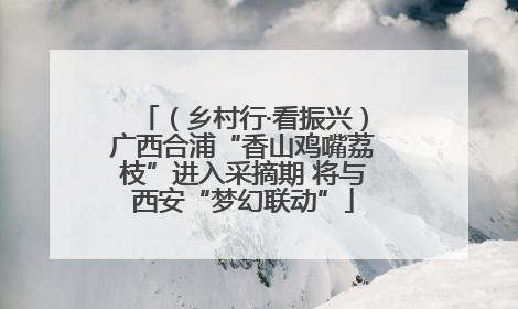 （乡村行·看振兴）广西合浦“香山鸡嘴荔枝”进入采摘期 将与西安“梦幻联动”