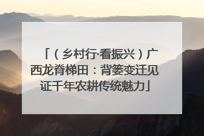 （乡村行·看振兴）广西龙脊梯田：背篓变迁见证千年农耕传统魅力