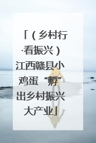 （乡村行·看振兴）江西赣县小鸡蛋“孵”出乡村振兴大产业