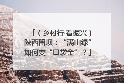 （乡村行·看振兴）陕西留坝：“满山绿”如何变“口袋金”？