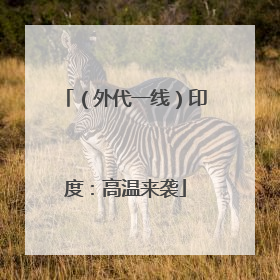 （外代一线）印度：高温来袭