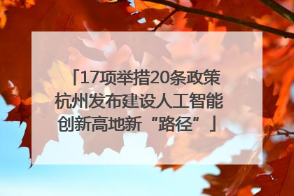 17项举措20条政策 杭州发布建设人工智能创新高地新“路径”