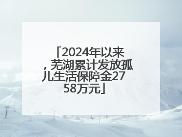 2024年以来，芜湖累计发放孤儿生活保障金2758万元