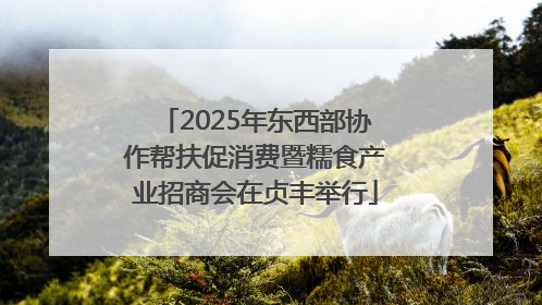 2025年东西部协作帮扶促消费暨糯食产业招商会在贞丰举行