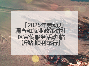 2025年劳动力调查和就业政策进社区宣传服务活动·临沂站 顺利举行