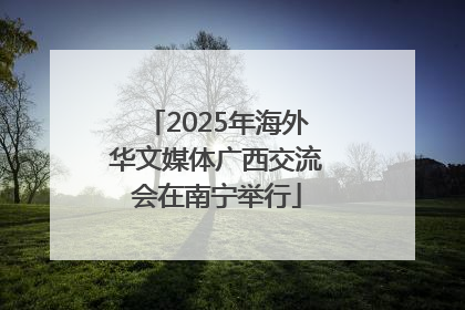 2025年海外华文媒体广西交流会在南宁举行