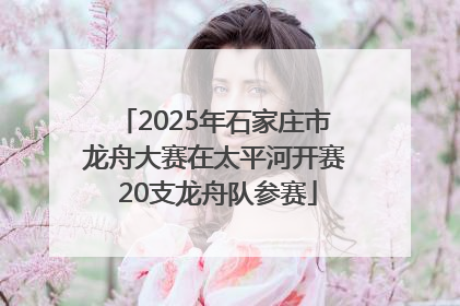 2025年石家庄市龙舟大赛在太平河开赛 20支龙舟队参赛