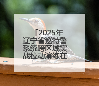 2025年辽宁省巡特警系统跨区域实战拉动演练在抚顺举行