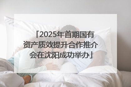 2025年首期国有资产质效提升合作推介会在沈阳成功举办