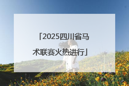 2025四川省马术联赛火热进行