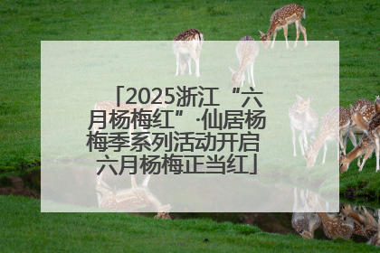 2025浙江“六月杨梅红”·仙居杨梅季系列活动开启 六月杨梅正当红