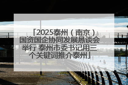 2025泰州（南京）国资国企协同发展恳谈会举行 泰州市委书记用三个关键词推介泰州