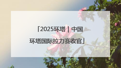 2025环塔｜中国环塔国际拉力赛收官