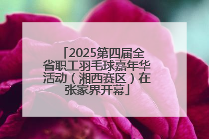 2025第四届全省职工羽毛球嘉年华活动（湘西赛区）在张家界开幕