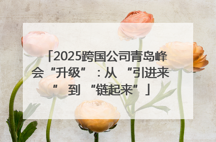 2025跨国公司青岛峰会“升级”：从 “引进来” 到 “链起来”