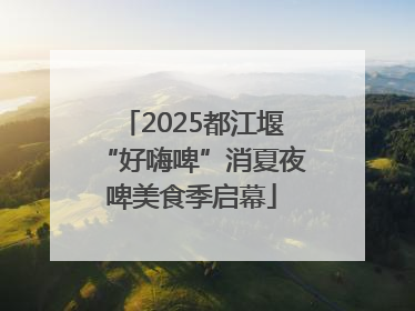 2025都江堰“好嗨啤”消夏夜啤美食季启幕