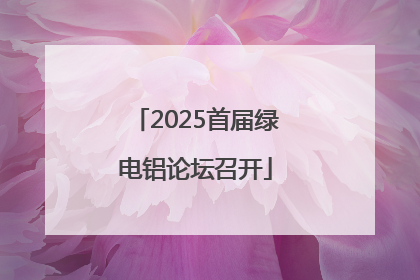 2025首届绿电铝论坛召开