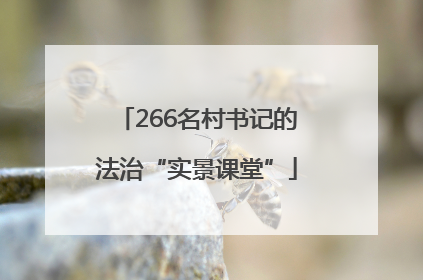 266名村书记的法治“实景课堂”