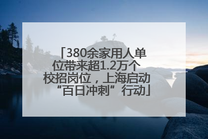 380余家用人单位带来超1.2万个校招岗位，上海启动“百日冲刺”行动