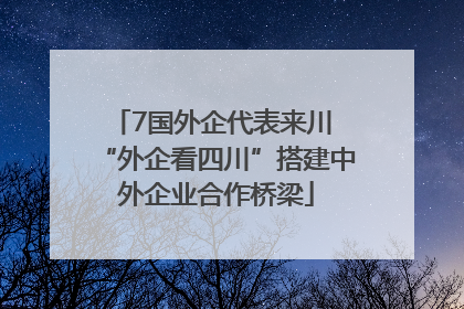 7国外企代表来川 “外企看四川”搭建中外企业合作桥梁