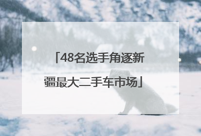 48名选手角逐新疆最大二手车市场