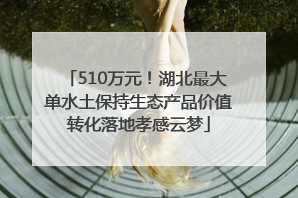 510万元！湖北最大单水土保持生态产品价值转化落地孝感云梦