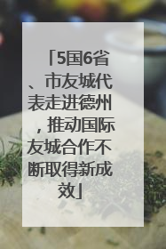 5国6省、市友城代表走进德州，推动国际友城合作不断取得新成效