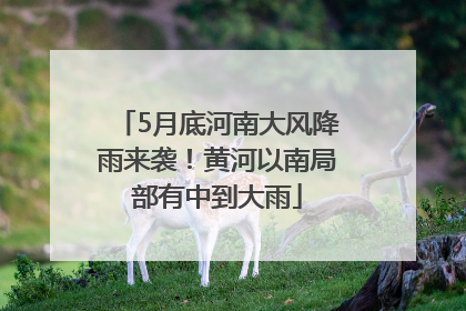5月底河南大风降雨来袭！黄河以南局部有中到大雨
