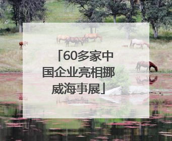 60多家中国企业亮相挪威海事展