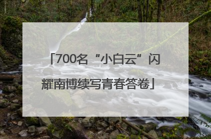 700名“小白云”闪耀南博续写青春答卷