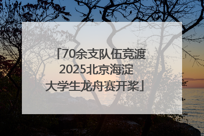 70余支队伍竞渡 2025北京海淀大学生龙舟赛开桨