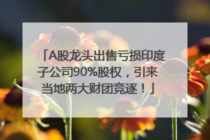 A股龙头出售亏损印度子公司90%股权，引来当地两大财团竞逐！