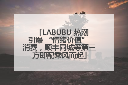 LABUBU 热潮引爆 “情绪价值” 消费，顺丰同城等第三方即配乘风而起